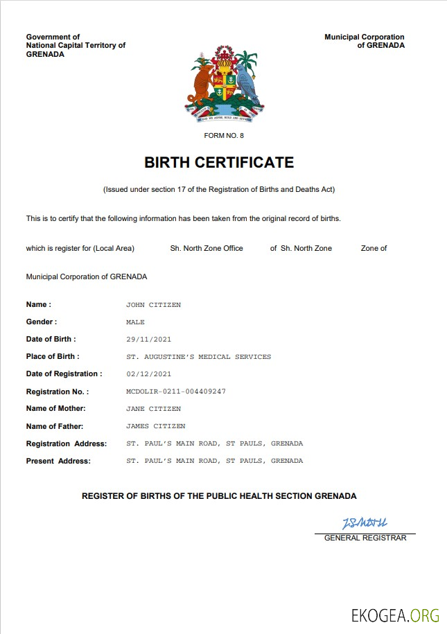 Modèle Word et PDF d'acte de naissance d'acte d'état civil de Grenade